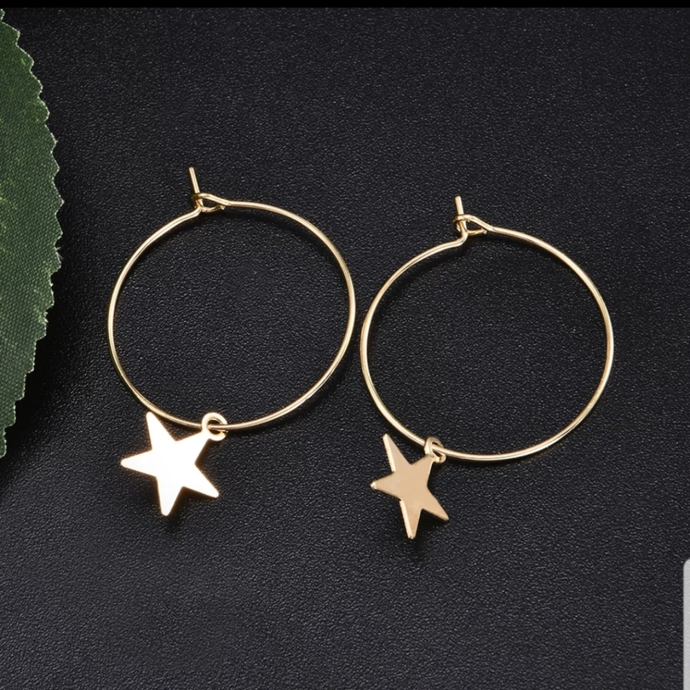☆Starla☆ Hoop Charm Earrings - Picture 5 of 6